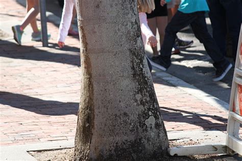 People Standing Around 的图像结果