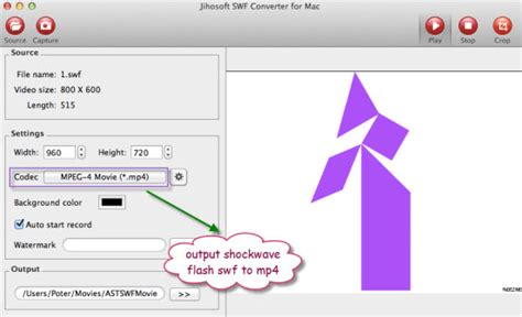 How to Convert Shockwave Flash Object to MP4