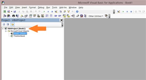 VBA Project Window Tutorial 的图像结果