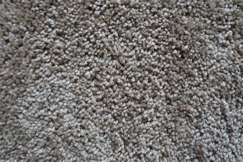 Types of Carpets Explained 的图像结果