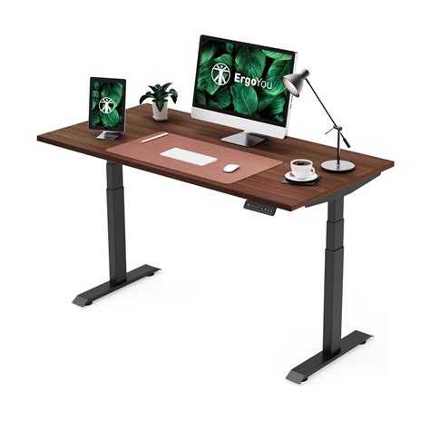 Dual Motor | Premium Height-Adjustable Standing Desk (3 Stage) with Ta ...