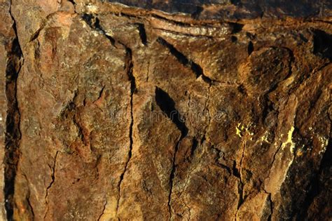 Image result for Rust Oxydation