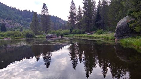 Chapman Campground And Group Camp - White River NF | Meredith, CO