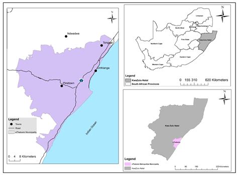 Does Urban and Peri-Urban Agriculture Contribute to Household Food ...