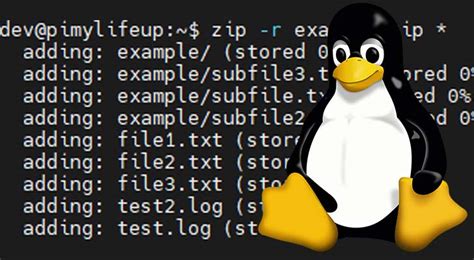 Zip Command Line 的图像结果