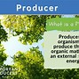 Image result for producers