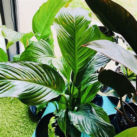 Lady Luck Creative Studios (Broadford) - All You Need to Know BEFORE You Go