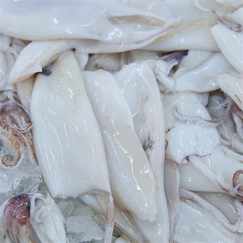 Our Products | Oceanpearl Fisheries Private Limited