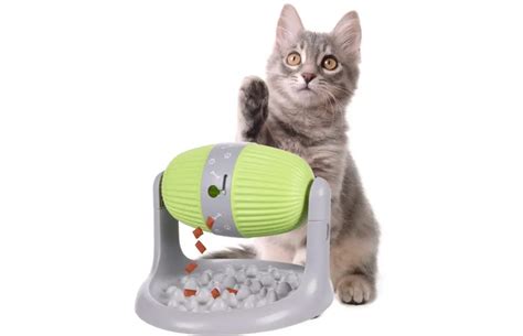 SNACK DISPENSER BENT – Kanineindia