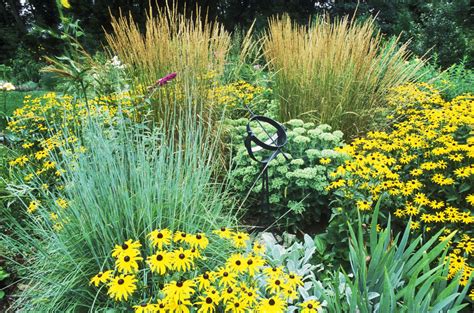 These are the best ornamental grasses for your garden | Ornamental ...
