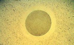 SURFACE MODIFICATION TECHNOLOGIES