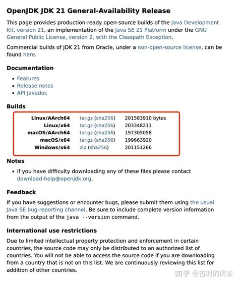 Java 1.21 Execute Guide 的图像结果