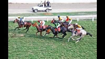 Jai calls for tougher licensing norms | Bengaluru News - Times of India