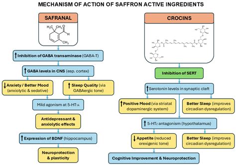 Safranal-Standardized Saffron Extract Improves Metabolic, Cognitive ...