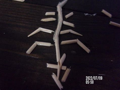 Image result for What Is Like a Toothpick