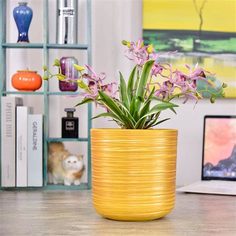 Common Planter Size Ranges: Dimensions for Small, Medium, & Large Pots - A Practical Guide ...