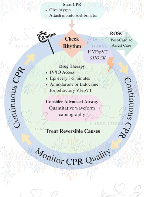 Image result for ACLS For Dummies