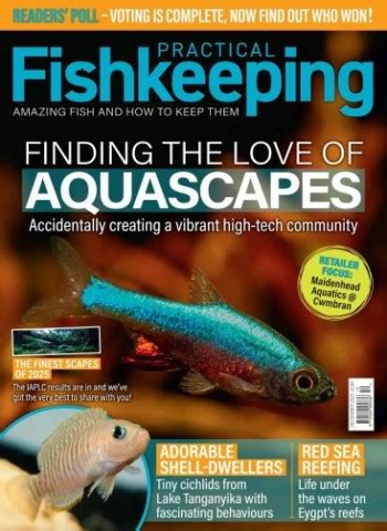 Latest digital magazines - page 55 | 4kw