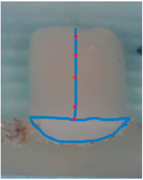 Evaluation of the Depth of Cure by Microhardness of Bulk-Fill ...