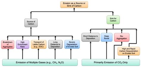 Fate of Soil Carbon Transported by Erosional Processes