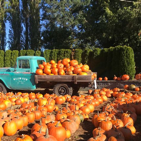 Top 5 Best Places for Apple and Pumpkin Picking Around Cleveland ...