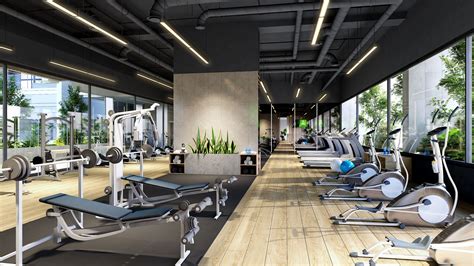 Image result for Gym Normal Distribution Example