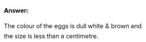 Visit some points are slow flowing streams during spring or rainy ...