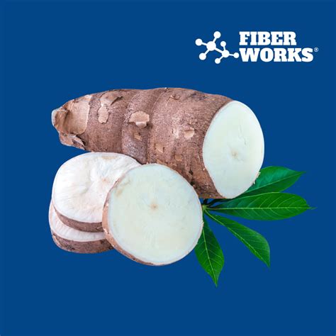 Image result for Tapioca Fiber