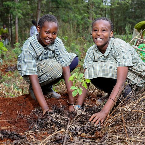 Local Communities 的图像结果