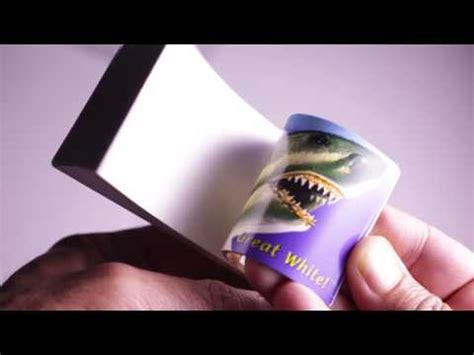 Image result for Nikon D7500 DSLR Camera Tutorial