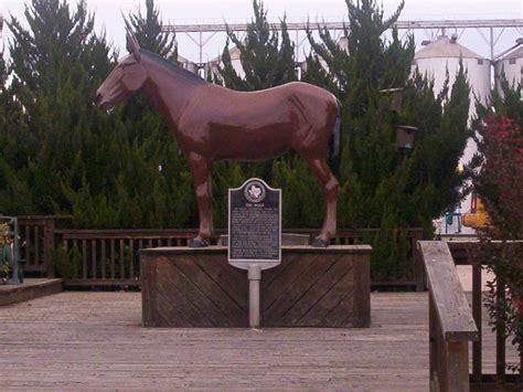 Discover Muleshoe, TX: A Small-Town Gem in the Texas Panhandle