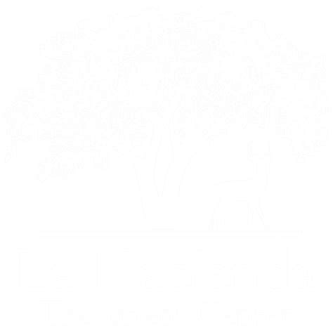 Meth Eyes | La Hacienda