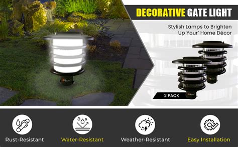 BENE Zauber Garden Light Black 20 Cms Pack of 2 Pc : Amazon.in: Garden ...