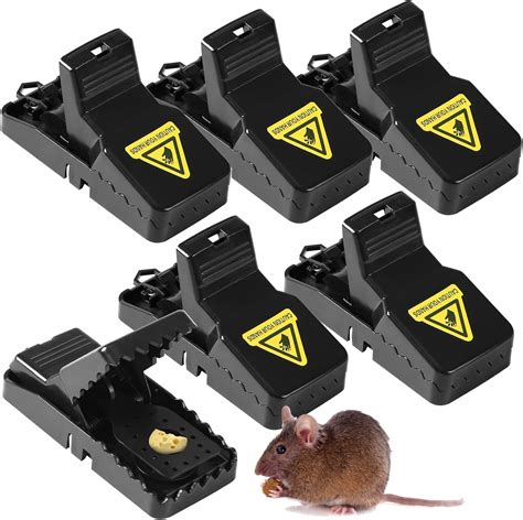 Are Mice Traps Effective at Katie Stuart blog