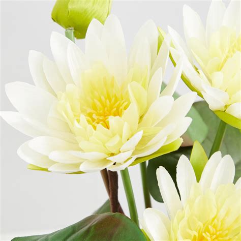 Buy Valencia Lotus Artificial Flower in Ceramic Pot from Home Centre at ...