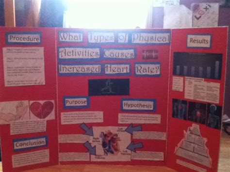 3rd Grade Science Fair Projects 的图像结果