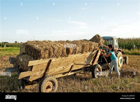 Small Acres 的图像结果