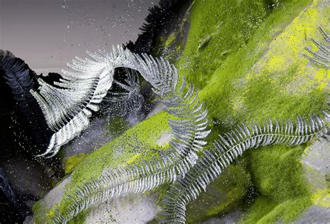 Image result for Mac Studio CPU