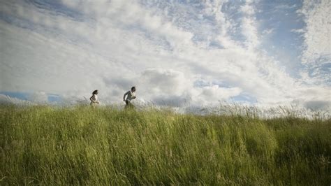 Image result for Grass Script vs Running Script