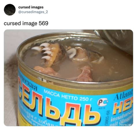 Image result for Cursed Food Compilation