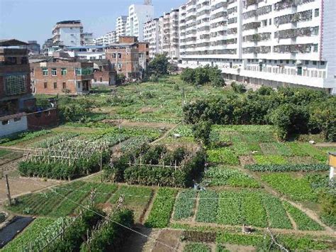 PATTA SUN HOTEL MEIZHOU JIANGBEI - Hotel Reviews, Photos, Rate ...