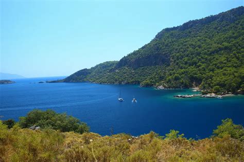 C# WebSocket Client 的图像结果