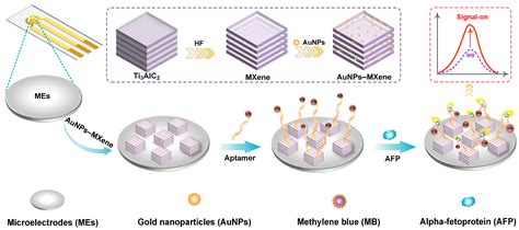 A Signal-On Microelectrode Electrochemical Aptamer Sensor Based on ...