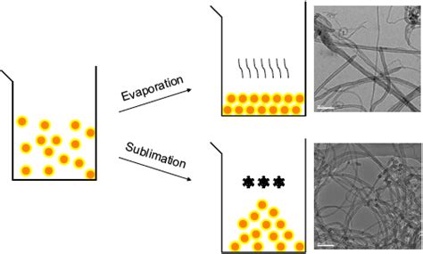 Catalytic CVD Synthesis of Carbon Nanotubes: Towards High Yield and Low ...