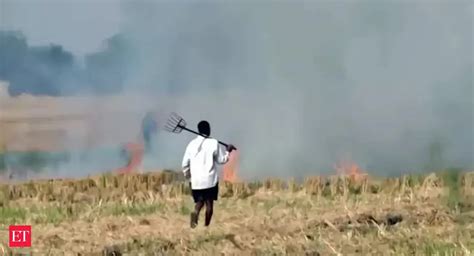 punjab: Stubble burning: Pollution Control Board says 32,734 cases ...