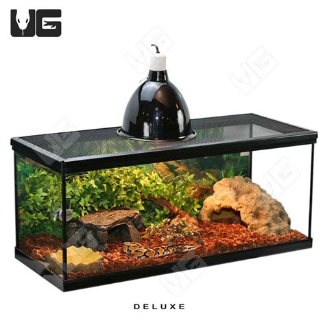 Ball Python Terrarium Setup 的图像结果
