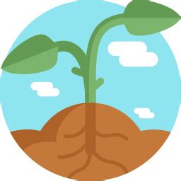 Plant - Free food icons