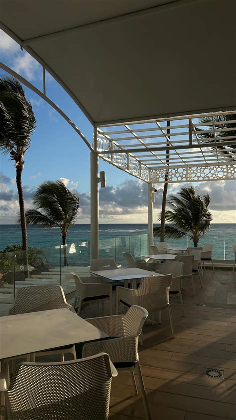 𝐓𝐡𝐞𝐫𝐞𝐬𝐚 𝐙𝐢𝐦𝐦𝐞𝐫𝐦𝐚𝐧 | 🤍🌞 a real heliophile | Instagram