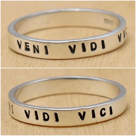 Veni Vidi Vici Meaning
