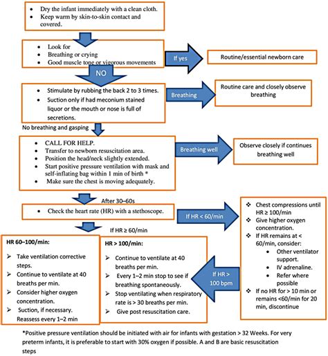 Image result for Neonatal Resuscitation Algorithm